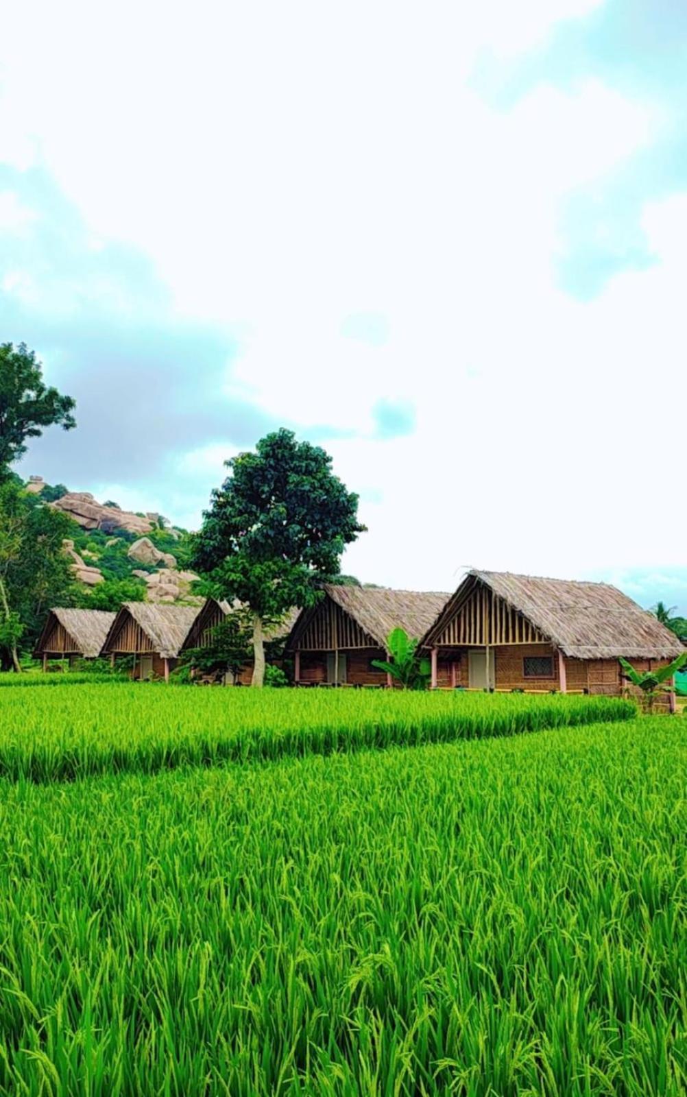Om Shanti Om Home Stay & Cafe Hampi Zewnętrze zdjęcie