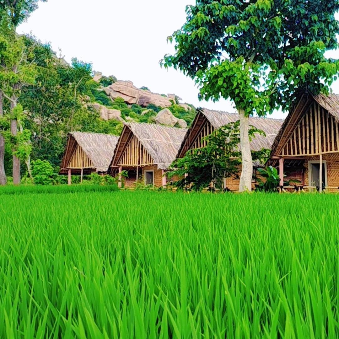 Om Shanti Om Home Stay & Cafe Hampi Zewnętrze zdjęcie